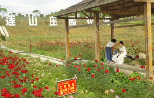 郴州蓮山莊園,郴州生態(tài)山莊,郴州原生態(tài)休閑農業(yè)莊園,郴州鄉(xiāng)村旅游
